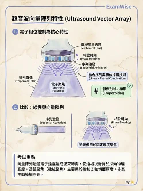 醫檢師 - 超音波檢查 - AI 圖文解析預覽