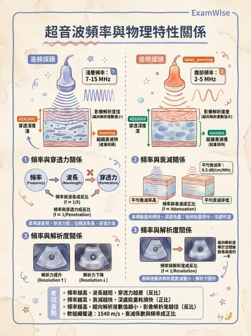 醫檢師 - 超音波檢查 - AI 圖文解析預覽