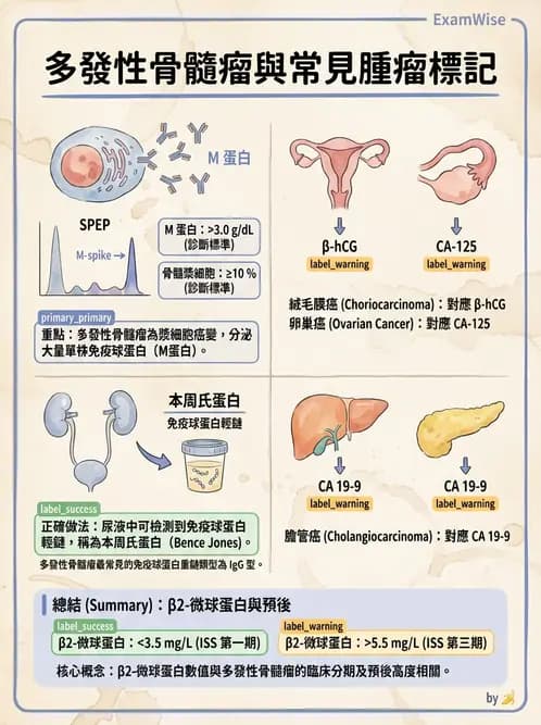 醫檢師 - 腫瘤概論 - AI 圖文解析預覽