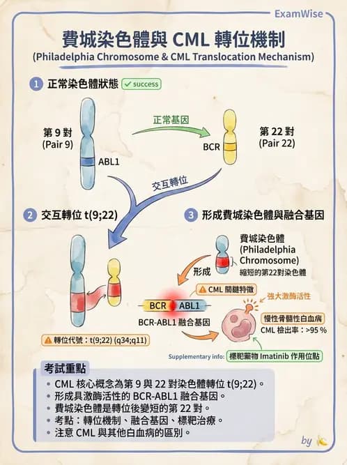 醫檢師 - 遺傳和發育疾病 - AI 圖文解析預覽