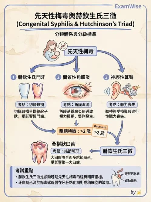 醫檢師 - 感染 - AI 圖文解析預覽