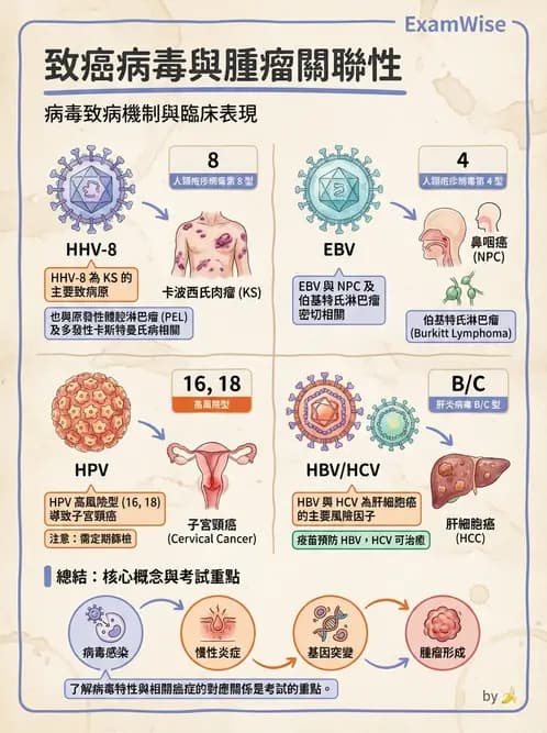 醫檢師 - 心血管疾病 - AI 圖文解析預覽