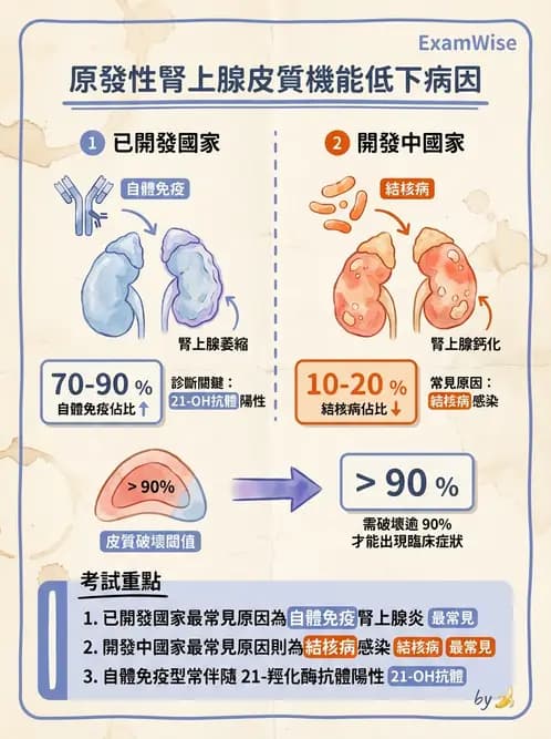 醫檢師 - 內分泌疾病 - AI 圖文解析預覽