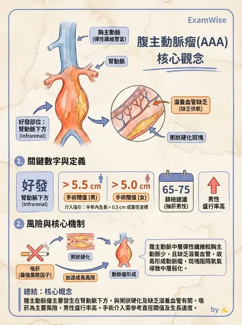 醫檢師 - 心血管疾病 - AI 圖文解析預覽