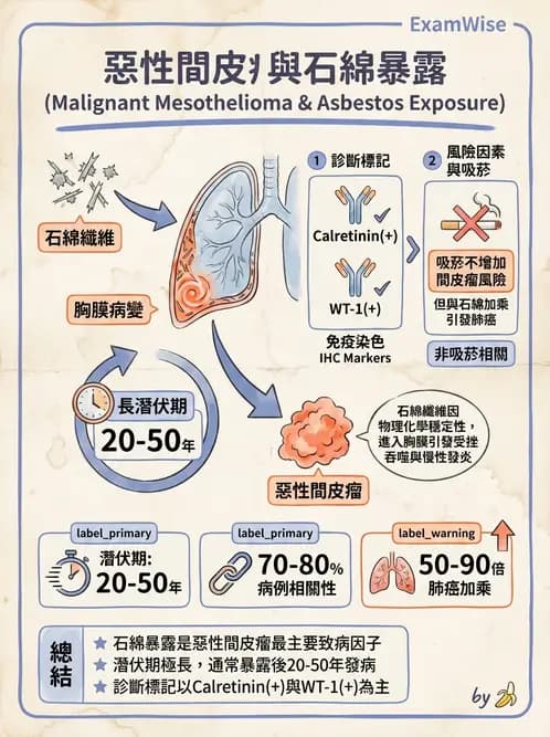 醫檢師 - 呼吸系統疾病 - AI 圖文解析預覽