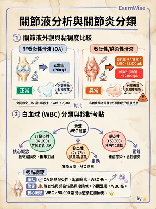 醫檢師 - 骨骼及軟組織疾病 - AI 圖文解析預覽