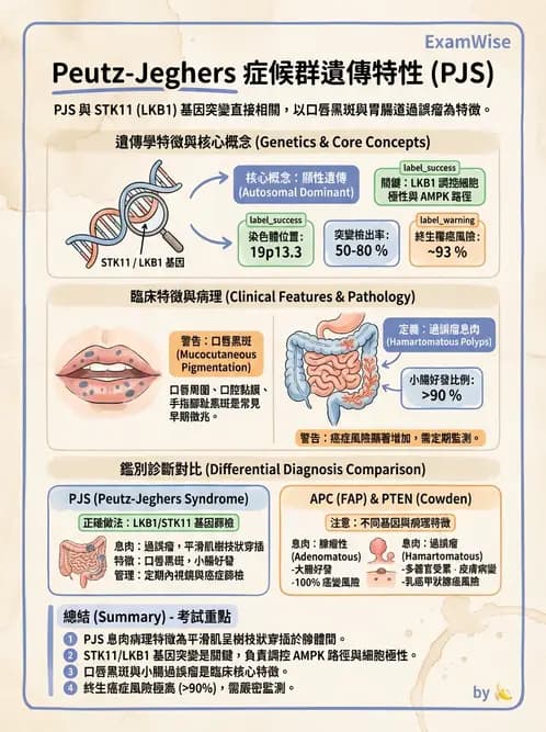醫檢師 - 消化肝膽疾病 - AI 圖文解析預覽
