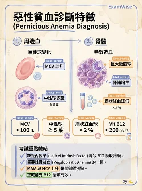 醫檢師 - 貧血診斷與營養缺乏性貧血 - AI 圖文解析預覽