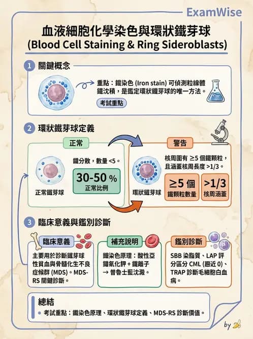 醫檢師 - 貧血診斷與營養缺乏性貧血 - AI 圖文解析預覽