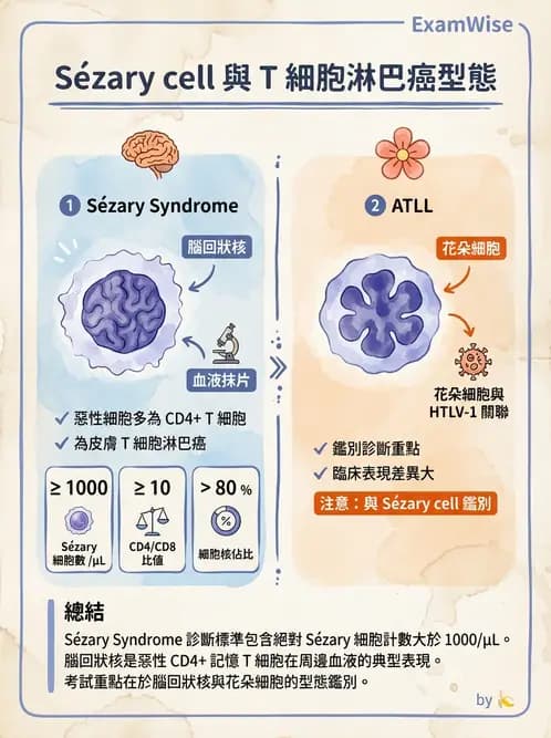 醫檢師 - 淋巴瘤、漿細胞疾病與白血球異常 - AI 圖文解析預覽