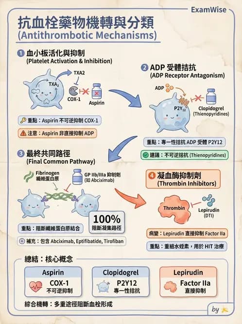醫檢師 - 血栓性疾病與抗凝治療監測 - AI 圖文解析預覽