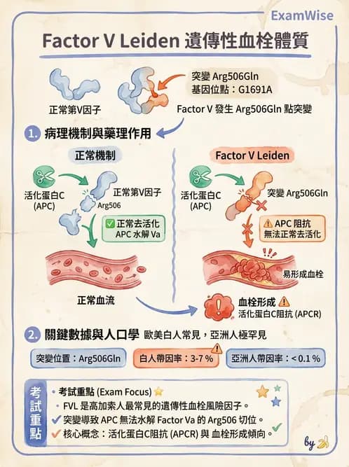 醫檢師 - 血栓性疾病與抗凝治療監測 - AI 圖文解析預覽