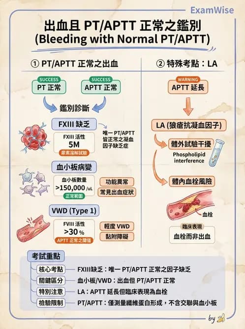 醫檢師 - 出血性疾病與檢驗 - AI 圖文解析預覽
