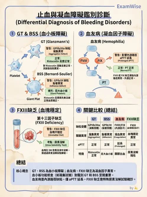 醫檢師 - 出血性疾病與檢驗 - AI 圖文解析預覽