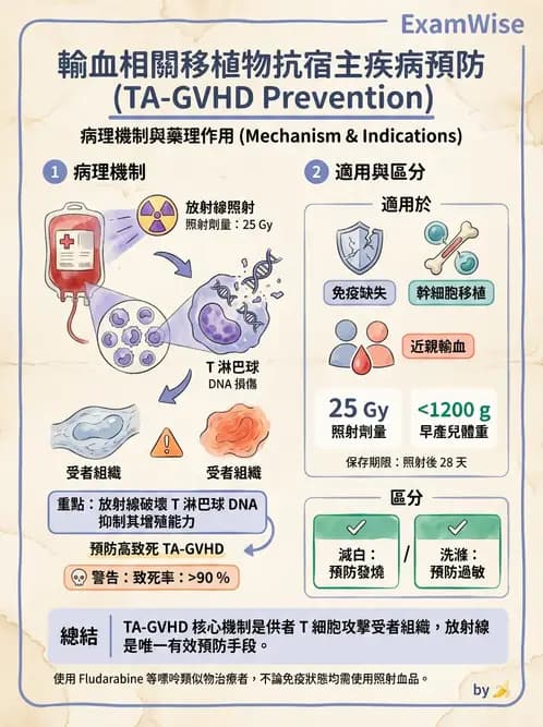 醫檢師 - 輸血反應與血庫品管 - AI 圖文解析預覽