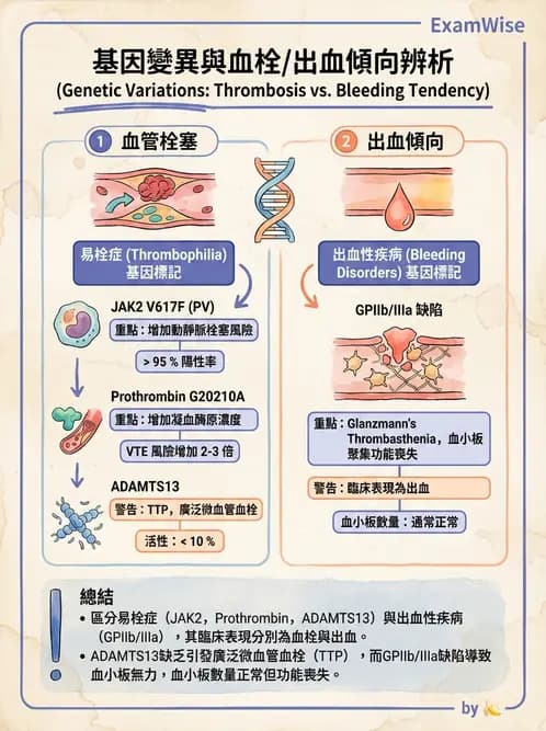 醫檢師 - 血栓性疾病與抗凝治療監測 - AI 圖文解析預覽