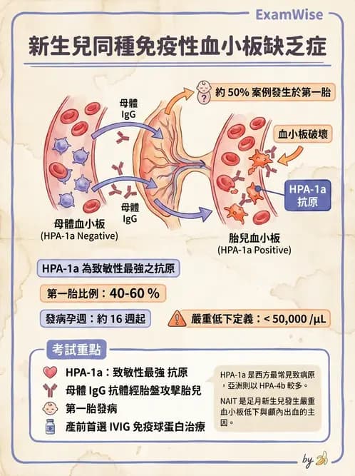 醫檢師 - 輸血反應與血庫品管 - AI 圖文解析預覽