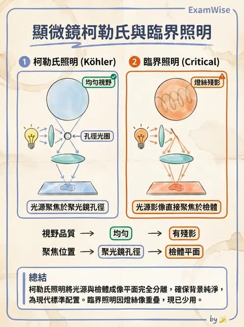 醫檢師 - 顯微鏡原理與操作 - AI 圖文解析預覽