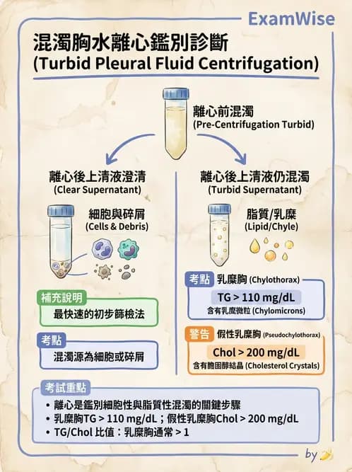 醫檢師 - 穿刺液檢查 - AI 圖文解析預覽