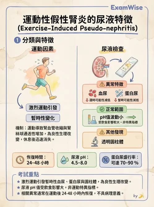 醫檢師 - 鏡檢綜合性試題 - AI 圖文解析預覽