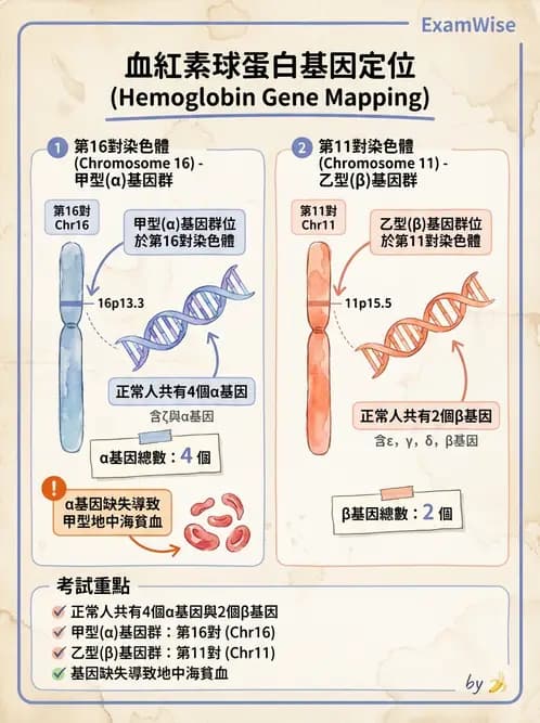 醫檢師 - 遺傳疾病基因檢測 - AI 圖文解析預覽