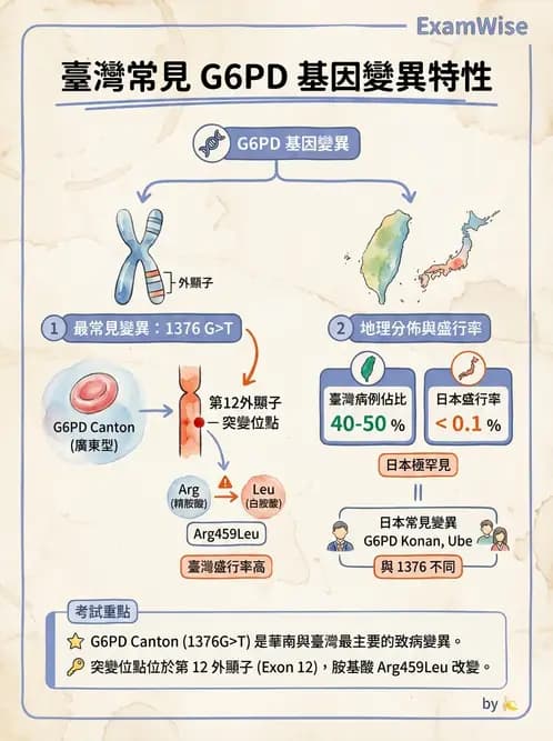 醫檢師 - 遺傳疾病基因檢測 - AI 圖文解析預覽