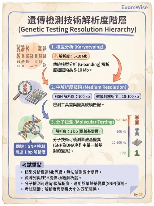 醫檢師 - 定序電泳與表觀分析 - AI 圖文解析預覽