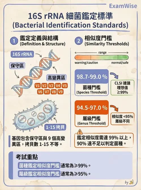 醫檢師 - 分子鑑定與應用技術 - AI 圖文解析預覽