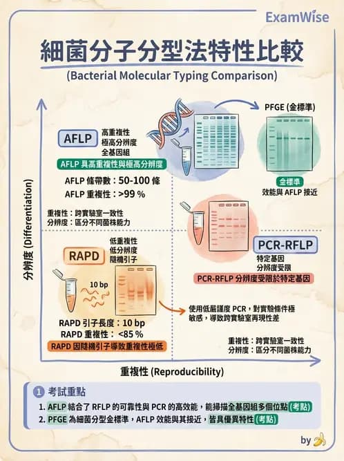 醫檢師 - 分子鑑定與應用技術 - AI 圖文解析預覽