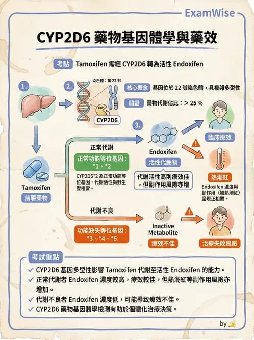 醫檢師 - 藥物相關基因檢測 - AI 圖文解析預覽