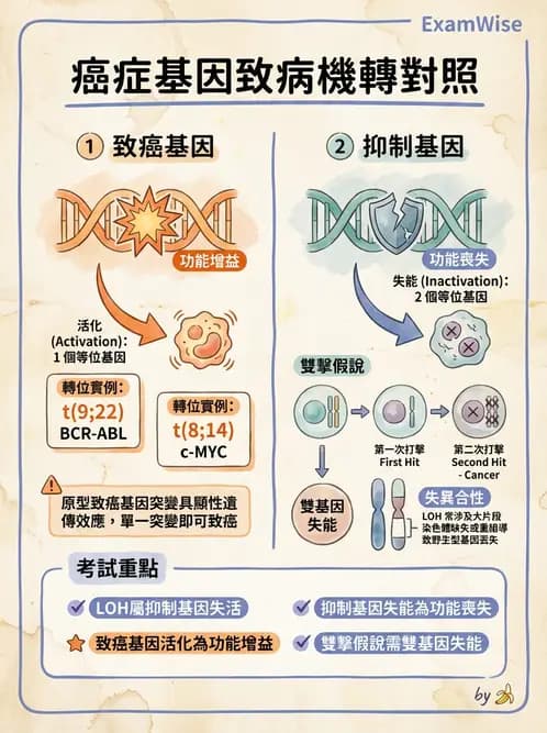 醫檢師 - 腫瘤疾病基因檢測 - AI 圖文解析預覽