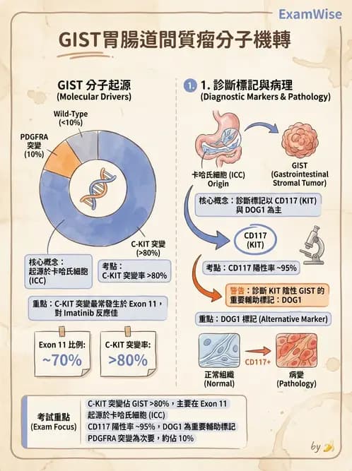 醫檢師 - 腫瘤疾病基因檢測 - AI 圖文解析預覽