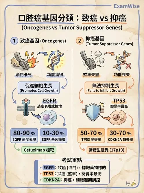 醫檢師 - 腫瘤疾病基因檢測 - AI 圖文解析預覽