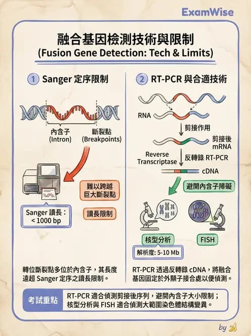 醫檢師 - 腫瘤疾病基因檢測 - AI 圖文解析預覽
