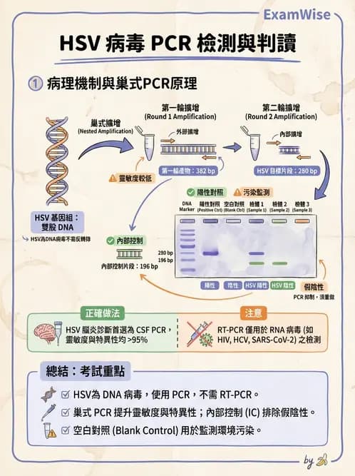 醫檢師 - 感染症分子檢驗 - AI 圖文解析預覽