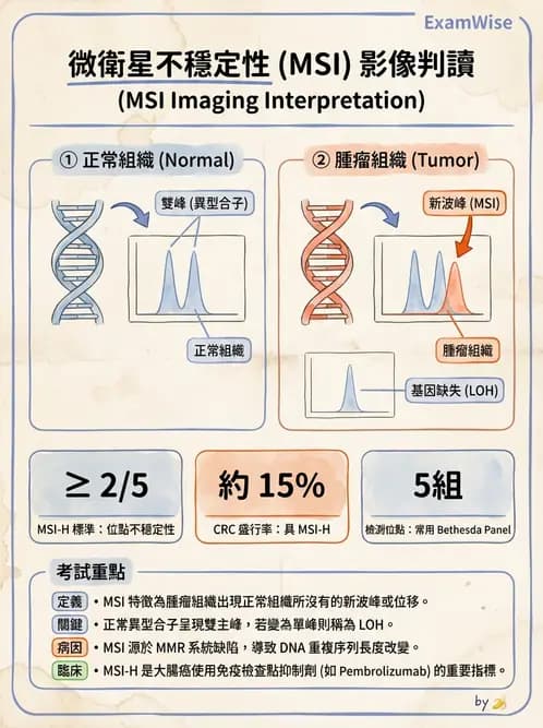 醫檢師 - 腫瘤疾病基因檢測 - AI 圖文解析預覽