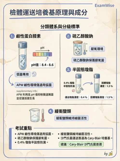 醫檢師 - 檢驗基礎技術 - AI 圖文解析預覽