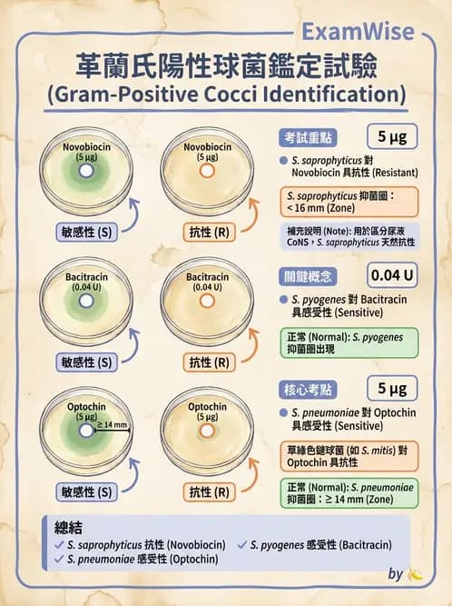 醫檢師 - 檢驗基礎技術 - AI 圖文解析預覽