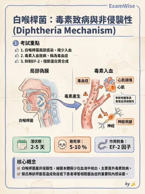 醫檢師 - 感染症與院內感染 - AI 圖文解析預覽