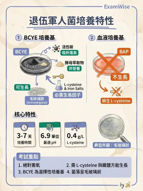醫檢師 - 奈瑟菌與挑剔性革蘭氏陰性菌 - AI 圖文解析預覽