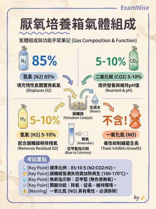 醫檢師 - 厭氧菌 - AI 圖文解析預覽