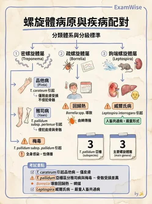 醫檢師 - 特殊病原體 - AI 圖文解析預覽