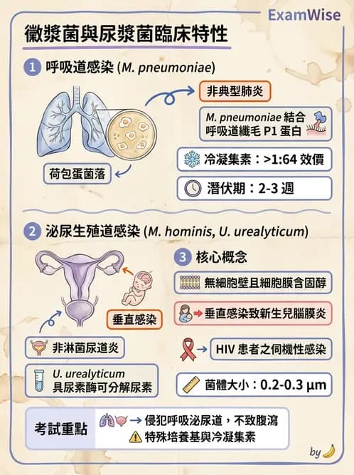 醫檢師 - 特殊病原體 - AI 圖文解析預覽