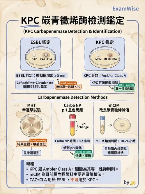 醫檢師 - 藥敏試驗方法 - AI 圖文解析預覽