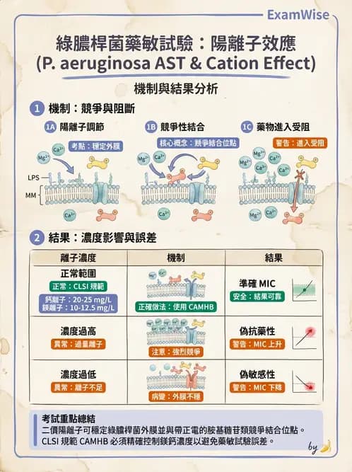 醫檢師 - 藥敏試驗方法 - AI 圖文解析預覽