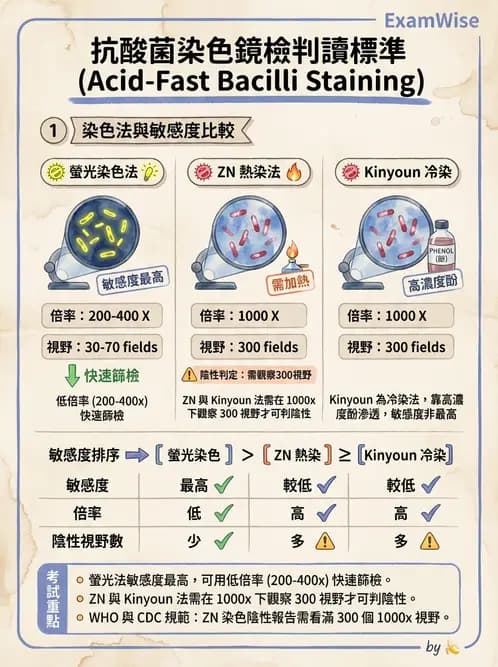 醫檢師 - 分枝桿菌 - AI 圖文解析預覽