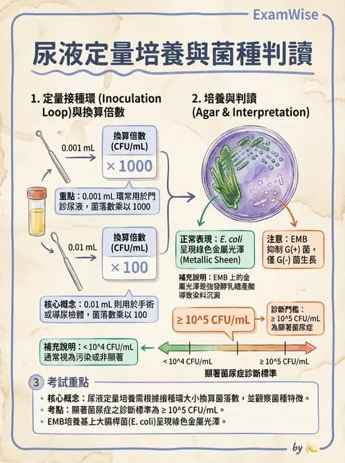 醫檢師 - 檢驗基礎技術 - AI 圖文解析預覽