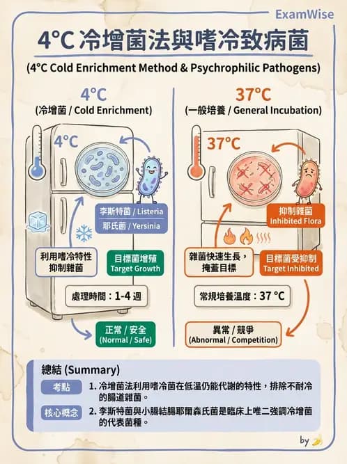 醫檢師 - 檢驗基礎技術 - AI 圖文解析預覽
