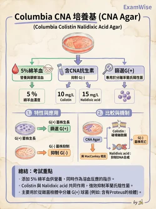 醫檢師 - 檢驗基礎技術 - AI 圖文解析預覽
