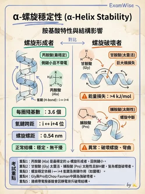 醫檢師 - 胺基酸代謝與先天性疾病 - AI 圖文解析預覽